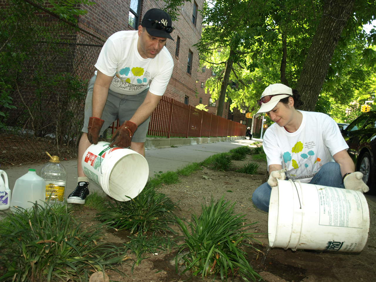 Volunteer Jackson Heights Beautification Group