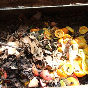 Bring your food scraps & compost them at JH Scraps on Saturdays 10 a.m. - 1 p.m. Bring your food scraps & compost them at JH Scraps on Saturdays 10 a.m. - 1 p.m.