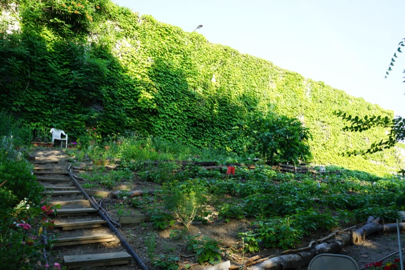 Gardening & Beautification